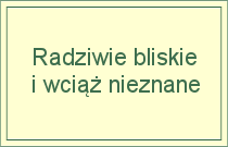 zaproszenie1_box1