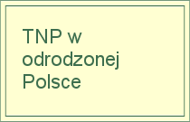 zaproszenie2_box3